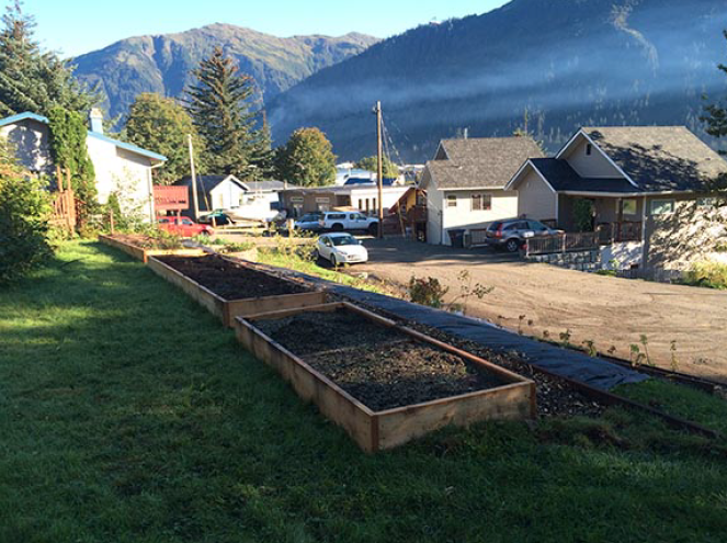 Newly built raised beds at the Douglas Fruiting Forest